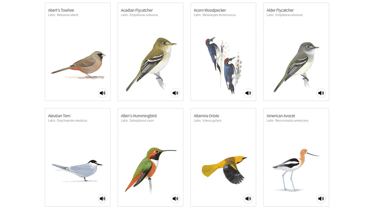 Screenshot von Audubon